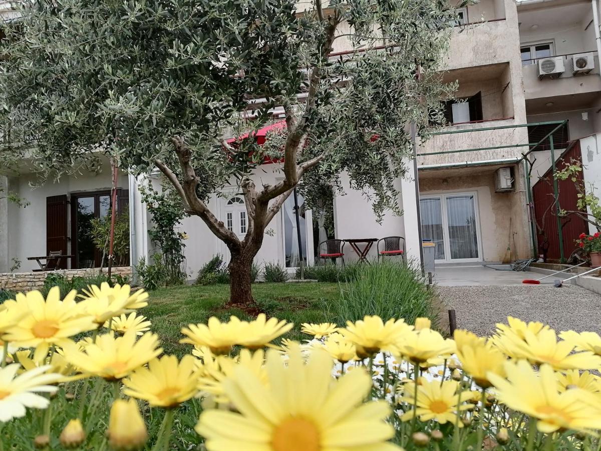 Leona Apartment Vidikovac, Pula Zewnętrze zdjęcie