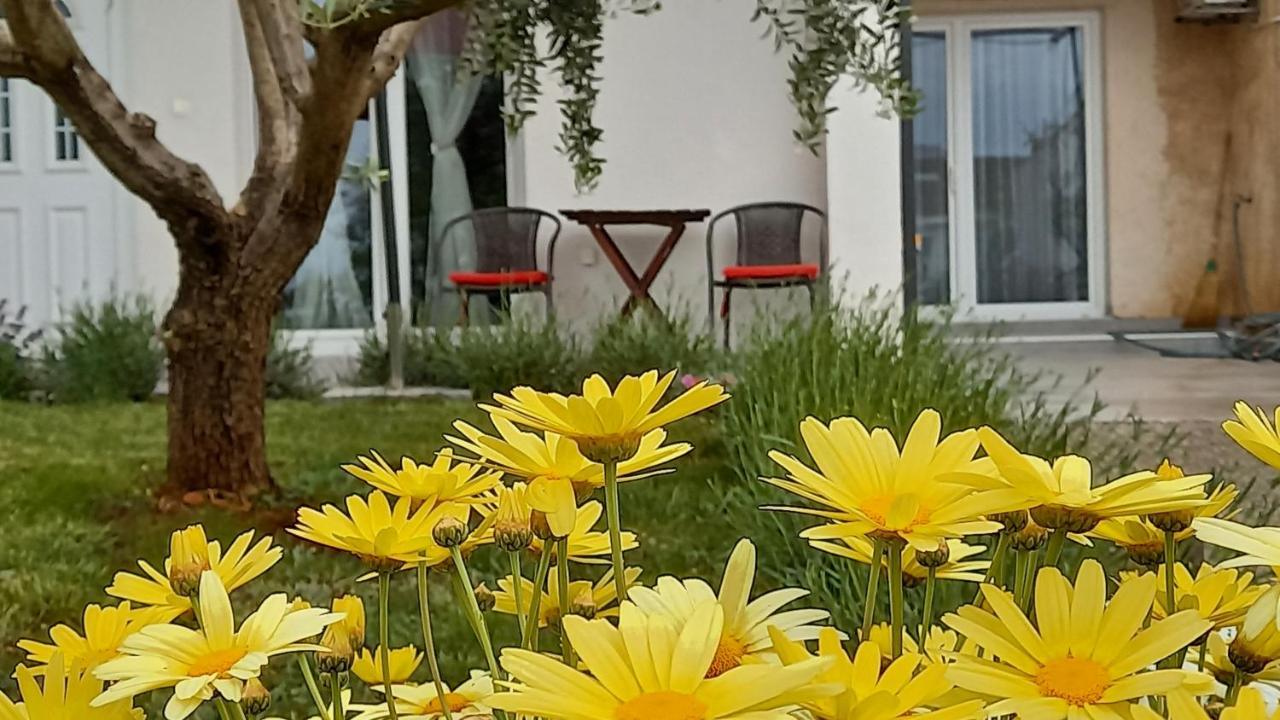 Leona Apartment Vidikovac, Pula Zewnętrze zdjęcie